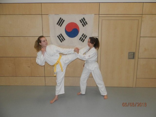 Taekwondo Training